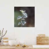 kant op bladeren poster (Keuken)