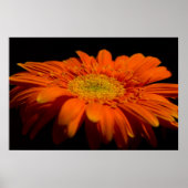 Kant op Gerber Poster (Voorkant)