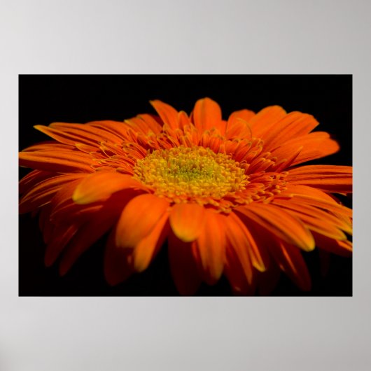 Kant op Gerber Poster (Voorkant)