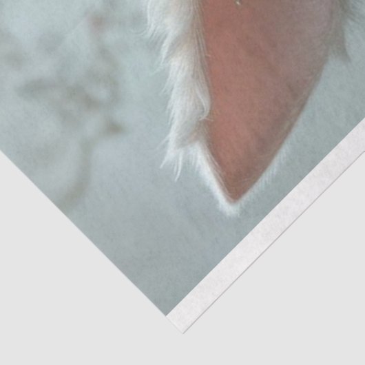 kant paaskonijn decoupage tissuepapier (Detail)