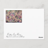 kant Rozen Briefkaart (Achterkant)