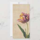  kant tulpen sympathie dank u fotokaart bedankkaart (Achterkant)