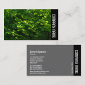 Kant zijband - bladeren in de lente visitekaartje (Voorkant / Achterkant)