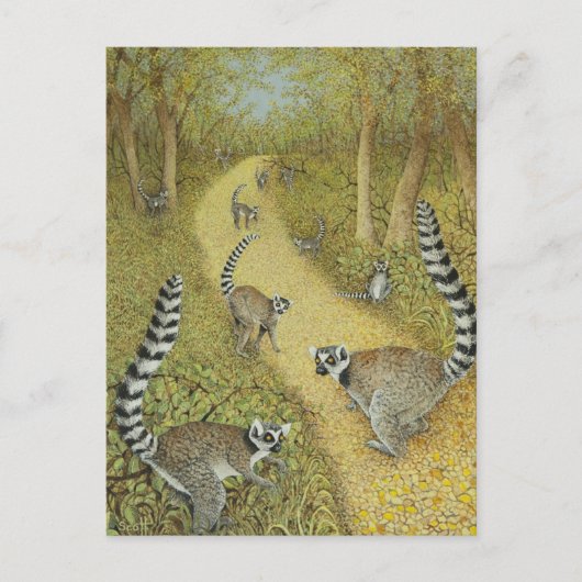 Kantaarns Briefkaart (Voorkant)