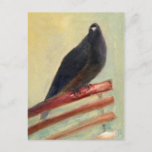 Kantaarns Court Pigeon 2013 Briefkaart