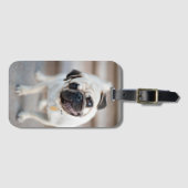 Kantel Bagagelabel (Voorkant (horizontaal))