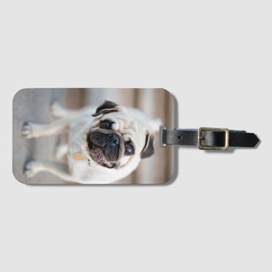 Kantel Bagagelabel (Voorkant (horizontaal))