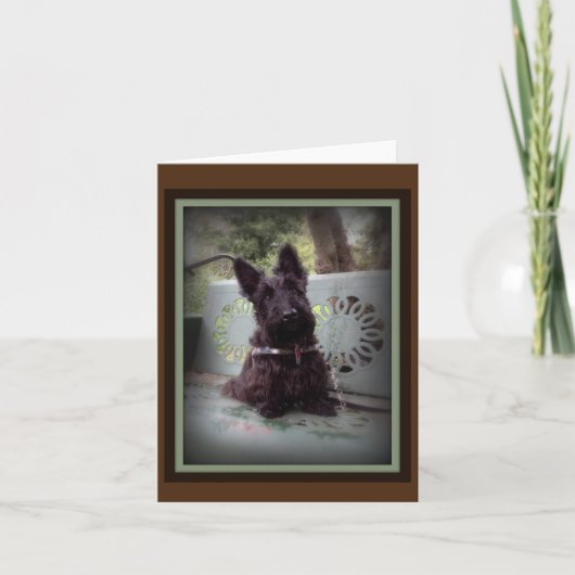 Kantel Bedankkaart (Voorkant)