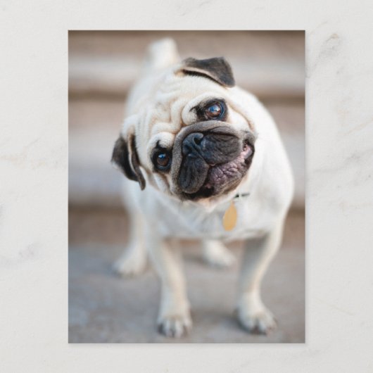 Kantel Briefkaart (Voorkant)