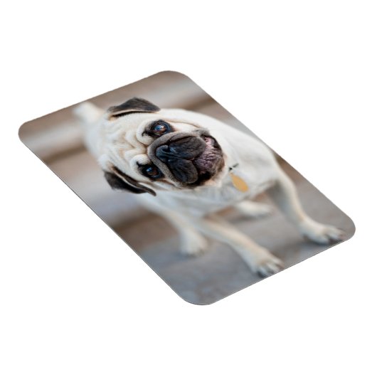 Kantel Magneet (Rechterzijde)