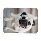 Kantel Magneet (Horizontaal)