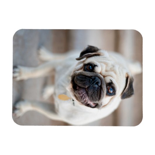 Kantel Magneet (Horizontaal)