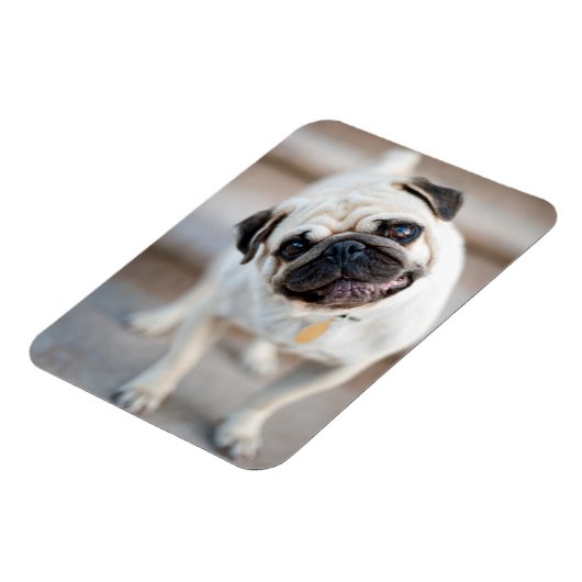 Kantel Magneet (Linkerzijde)