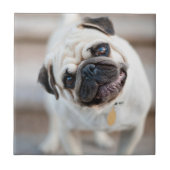 Kantel Tegeltje (Voorkant)