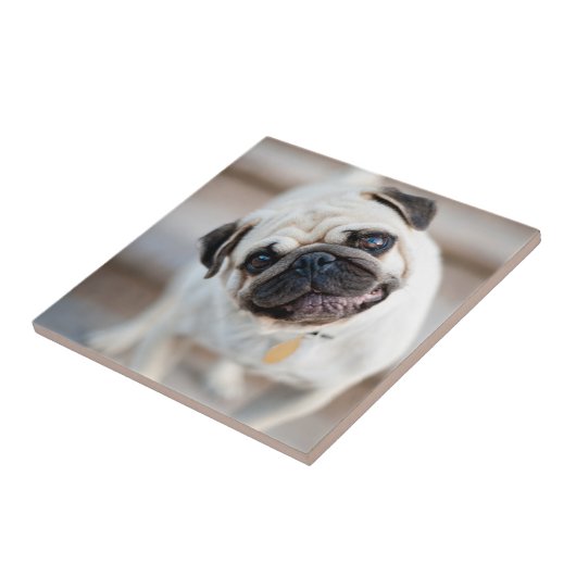 Kantel Tegeltje (Zijkant)