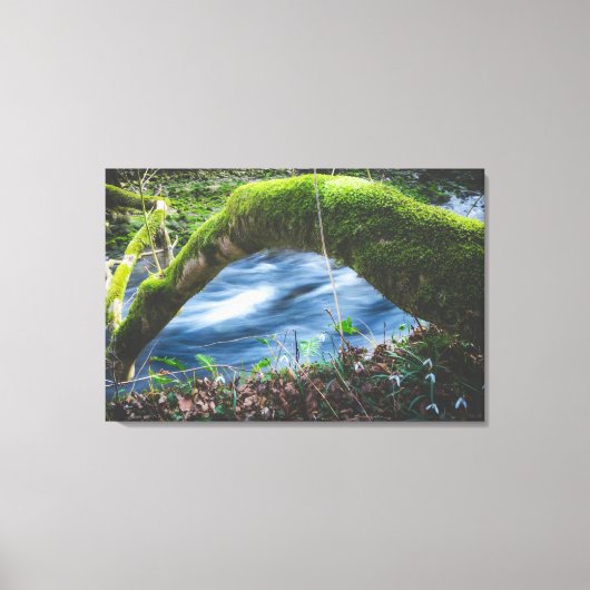 Kantelbaar magisch bos canvas afdruk (Voorkant)