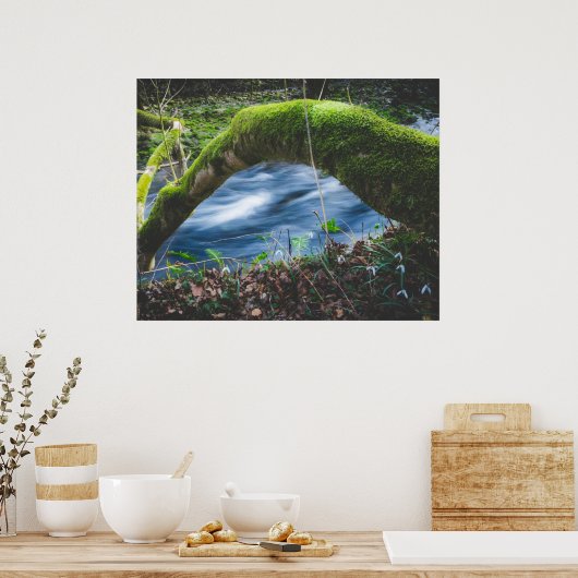 Kantelbaar magisch bos poster (Keuken)