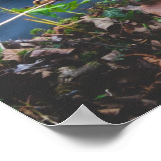 Kantelbaar magisch bos poster (Hoek)