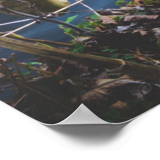 Kantelbaar magisch bos poster (Hoek)