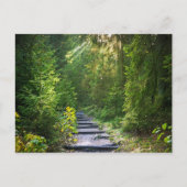 Kantelbaar Woud Pad 1 Briefkaart (Voorkant)