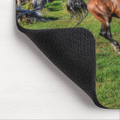 Kantelende schildpad- en bospaardenfoto muismat (Hoek)