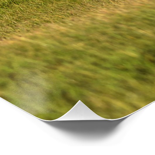 Kanteling van sorrel Mare en Ranch Pasture Equine  Poster (Hoek)