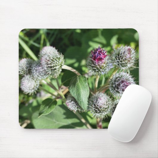 kanten rand over distel muismat (Met muis)