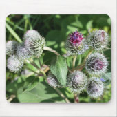 kanten rand over distel muismat (Voorkant)