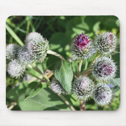 kanten rand over distel muismat (Voorkant)