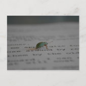 Kantoor bug briefkaart (Voorkant)