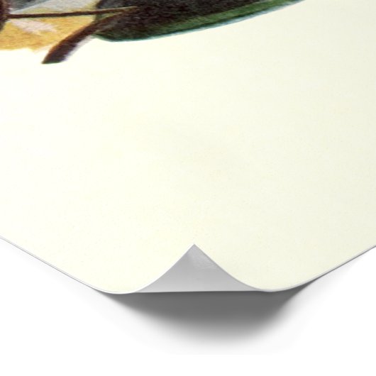  Kantoor, directie en secretaris Poster (Hoek)