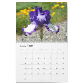 KANTOOR GIFT CALENDAR Iris Flowers Teamwork Kalender (Jan 2027)