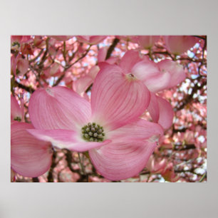 KANTOOR KUNST Roze Dogwood Boom 1 Kunst Ingelijste Poster