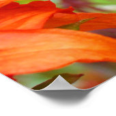 Kantoor kunstprints Oranje Rododendron Tuin Poster (Hoek)