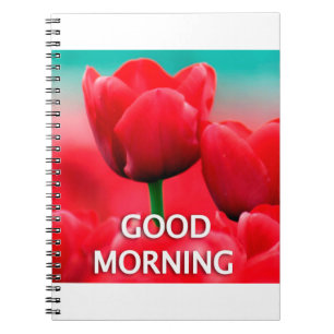 Kantoor & School > Stationery > Notitieboeken en s