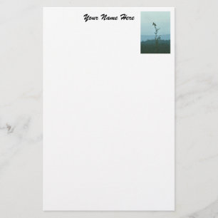 Kantoorartikelen - Top van de wereld Briefpapier