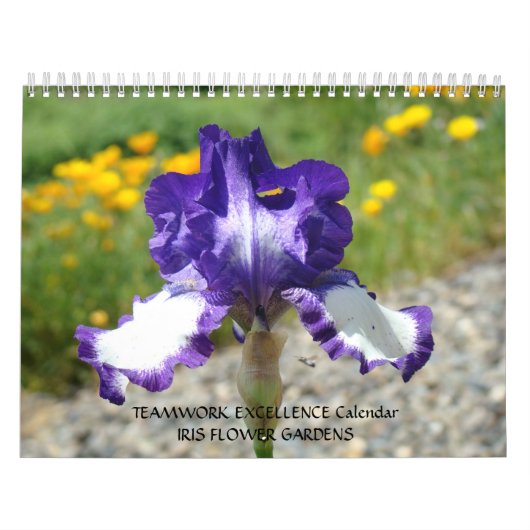 KANTOORCADEAU KALENDER Iris Bloemen Teamwerk! (Hoes)
