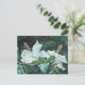 Kao Kao 5 Briefkaart (Staand voorkant)