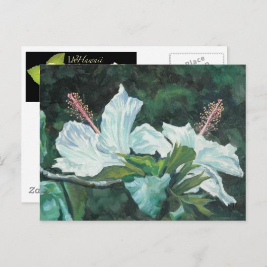 Kao Kao 5 Briefkaart (Voorkant / Achterkant)