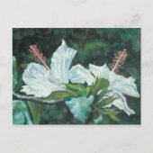 Kao Kao 5 Briefkaart (Voorkant)