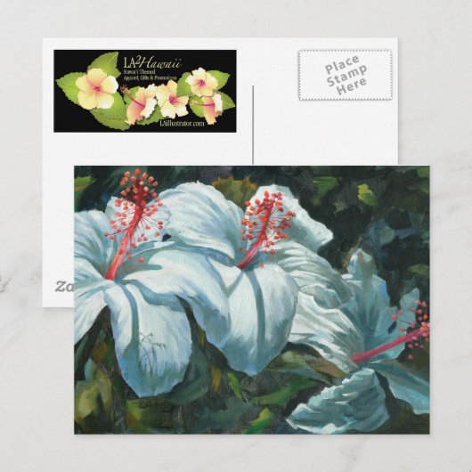 Kao Kao 6 Briefkaart (Voorkant / Achterkant)