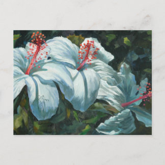 Kao Kao 6 Briefkaart