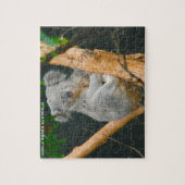 Kaola Beren Australië Legpuzzel (Verticaal)