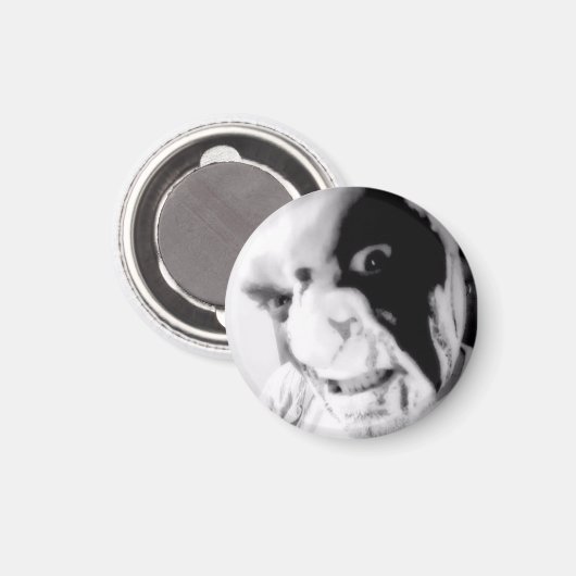 Kaos Anubis BLoody Face Good vs Evil Magnet (Voorkant / Achterkant)