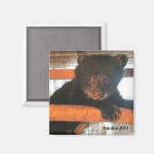 Kapalua 2011 magneet (Voorkant / Achterkant)