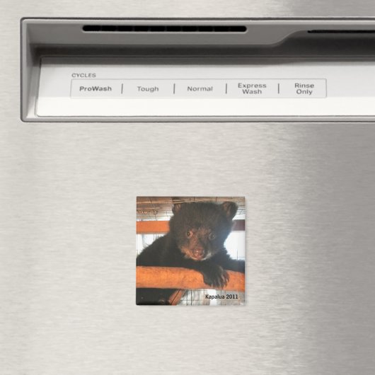 Kapalua 2011 magneet (Insitu (Vaatwasser))