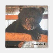 Kapalua 2011 magneet (Voorkant)