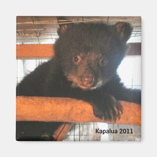 Kapalua 2011 magneet (Voorkant)