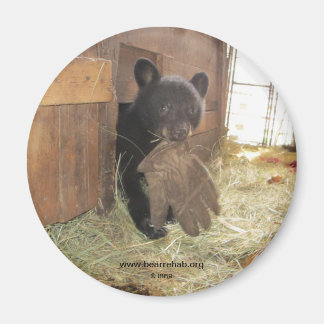 Kapalua met handschoen - magneet