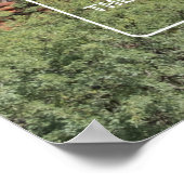 Kapel van het Heilige Kruis, Arizona Poster (Hoek)